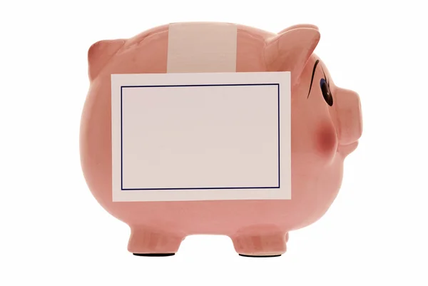 Piggy Bank vestindo sinal em branco — Fotografia de Stock