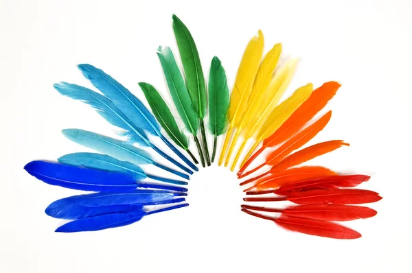 Rainbow Of Beautiful and Colorful Feathers Fanned Out — Stok Foto