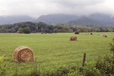 Ülkede alan saman balya