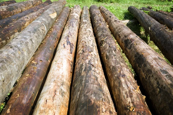 Logs In A Neat Row For Log Homes — Stock Photo, Image