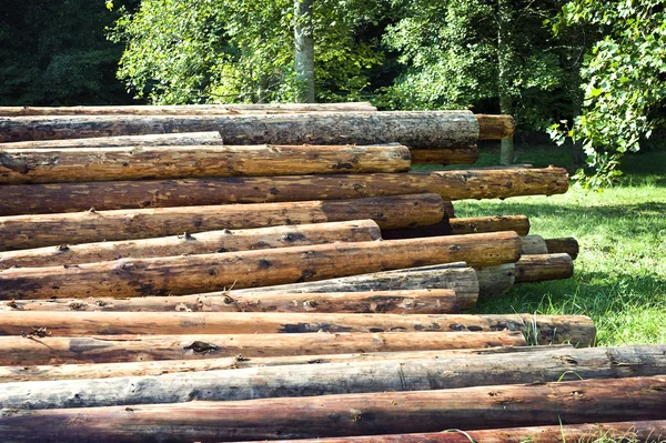 Big Stack Of Logs For Log Homes — Stock Photo, Image