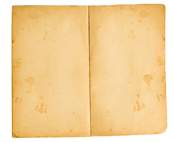 Стара книга з порожнім папером — стокове фото