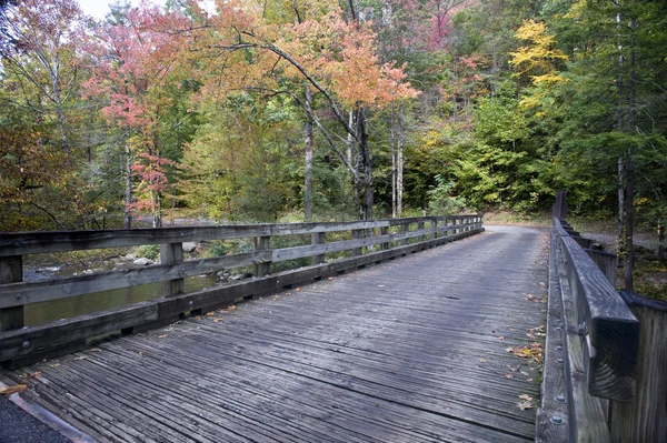 Old Wooden Bridge In Forest — Stock Photo, Image