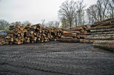 Büyük yığınlar günlükleri