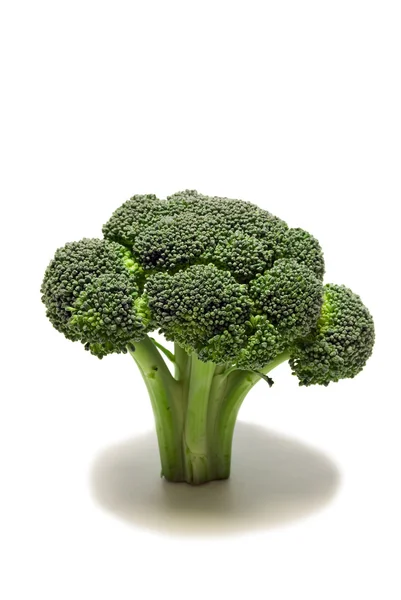 Broccoli บนพื้นหลังสีขาว — ภาพถ่ายสต็อก