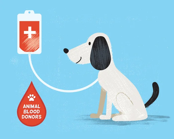 Doador de sangue animal. Ilustração vetorial —  Vetores de Stock