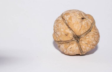 Beyaz arka planda ceviz tasarım için harika.