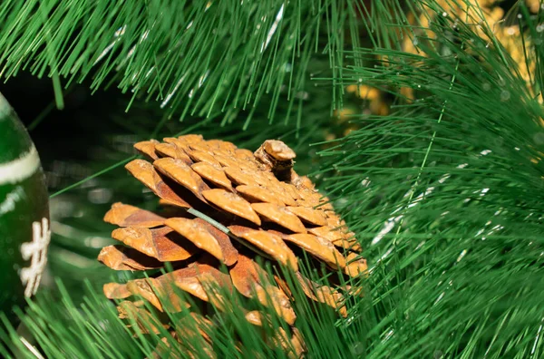 Fichtenzapfen Baum Für Den Feiertag Neujahr Zur Gestaltung — Stockfoto