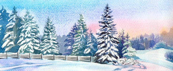 Forest edge with snow-covered fir trees at sunset in watercolor.