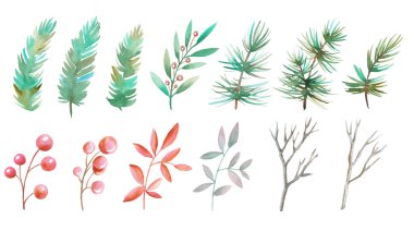 Yeni yıl ve Noel için çam ve ladin kozalaklı dallar ve böğürtlenler..