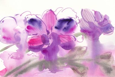 Beyaz arkaplanda boya damlaları olan suluboya orkide çiçekleri çiz.