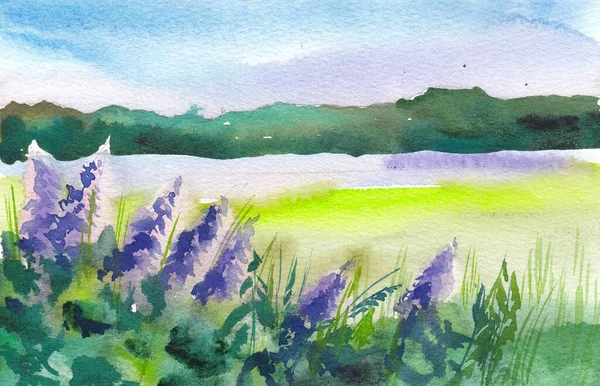 Watercolor sketch landscape. Summer green field, flowering plants in the foreground.
