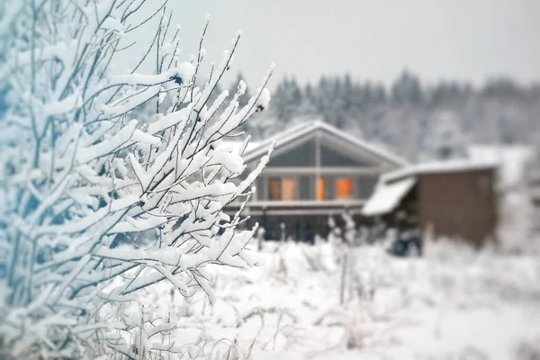 Zimowy krajobraz, gałęzie drzew pokryte grubą warstwą śniegu, rozmyty dom. — Zdjęcie stockowe