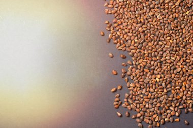 Siyah arka planda dağınık çam fıstığı, üst görünüm. 