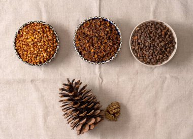 Sibirya çam fıstıklı üç yuvarlak kase. Soyulmuş fındık çekirdekleri, kabukları, koni taneleri..