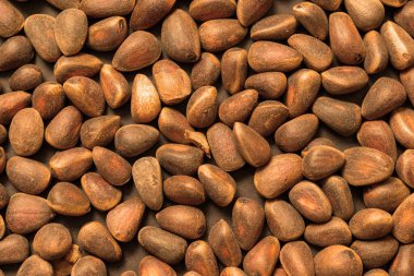 Kabuğu soyulmamış Sibirya çam fıstığı yakından çekilmiş.. 