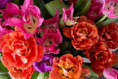 Çok renkli lalelerden oluşan bir buket. Masanın üzerindeki vazoda duruyorlar, yeşil yapraklar görünüyor..