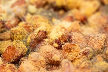 Arka planda çam fıstığı makrosu kalıbı var..