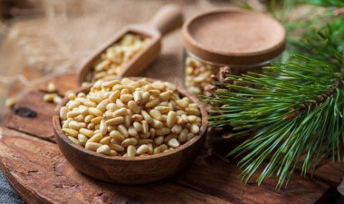 Çam fıstıklı ahşap bir tabak, uzun iğneli bir çam dalı, bir kavanoz fındık, arka plan bulanık..