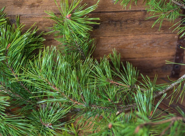 Pine branches with green needles close-up. Lie on a wooden brown table. — Stock Photo, Image