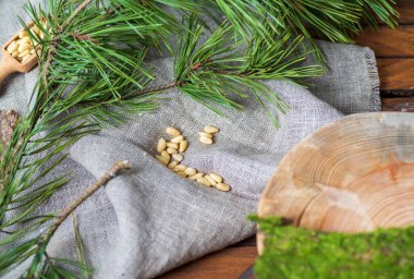 Üzerinde çam fıstığı olan gri keten kumaş, yanında ağaç testeresi olan yeşil bir çam dalı.. 