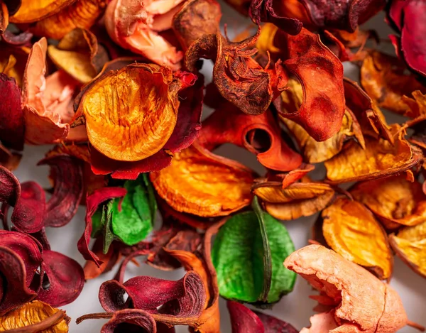 Dry flowers and leaves of orange and green color close-up on a white background. — Stock Photo, Image