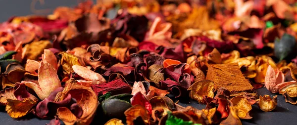 Uno stretto panorama sullo sfondo di fiori secchi di fiori rossi e arancioni. — Foto Stock