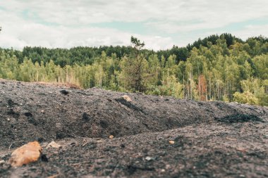 Tula bölgesinin vahşi doğası, Rusya.