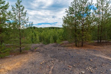 Uzak ormanlarda, kenarlarında çam ağaçları olan bir plato..