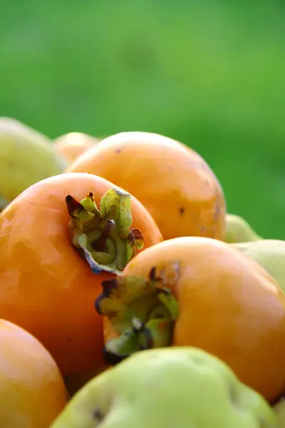 Fresh persimmon and quince on green bakground — Stock Photo, Image