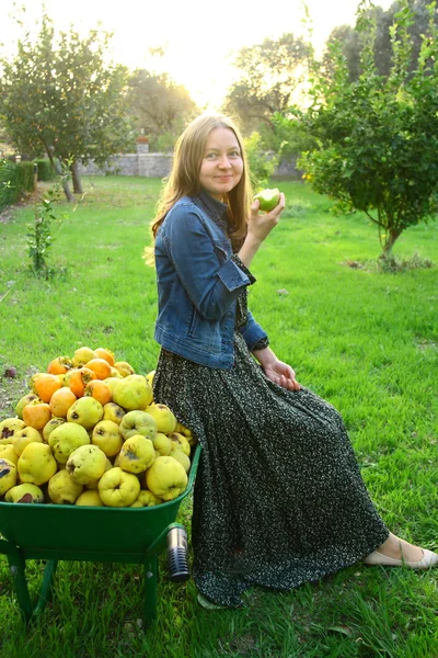 Schönes Mädchen sammelt frisches Obst — Stockfoto