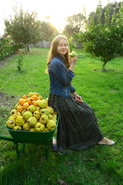 Schönes Mädchen sammelt frisches Obst — Stockfoto