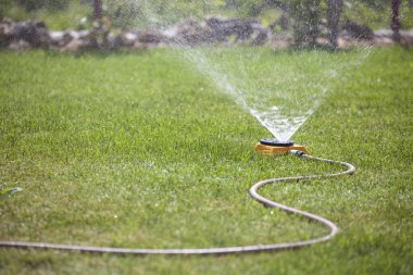 Lawn watering clipart