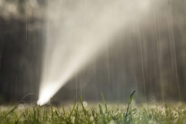 Rasenbewässerung — Stockfoto