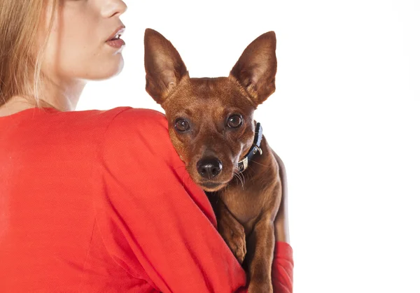 Hond en een vrouw — Stockfoto