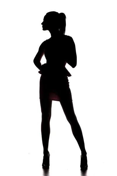 Silhouette of a lady — Stock Photo, Image