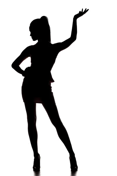 Silhouette of a lady — Stock Photo, Image