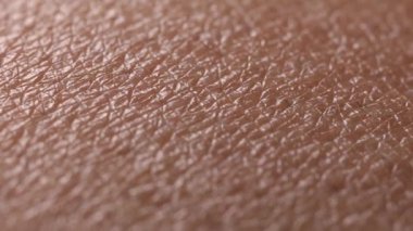 Ekstrem makro insan bacağı deri dokusunun HD videosu tüy dökümü sonuçları ve görünür mikro yüzey detaylarını gösterdikten sonra