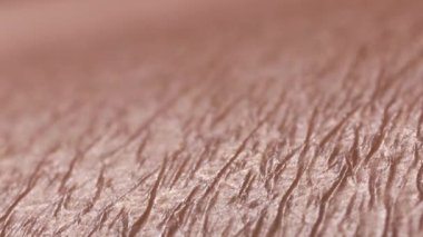 Ekstrem makro insan bacağı deri dokusunun HD videosu tüy dökümü sonuçları ve görünür mikro yüzey detaylarını gösterdikten sonra
