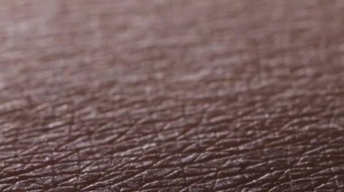 Aşırı makro insan bacağı deri dokusunun HD videosu tüy dökümünden sonra görülebilir mikro yüzey detaylarıyla sonuçlanır.
