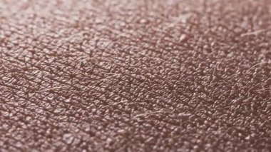 Aşırı makro insan deri dokusunun HD videosu mide bölgesinde doğal deri yüzeyi ile ince kadife kıllar gösteriyor.