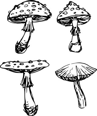 Mantar küme. Vektör çizim