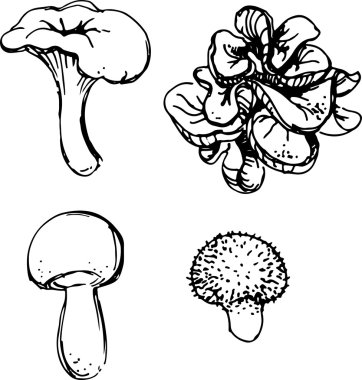 Mantar küme. Vektör çizim