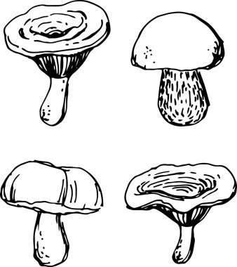 Mantar küme. Vektör çizim