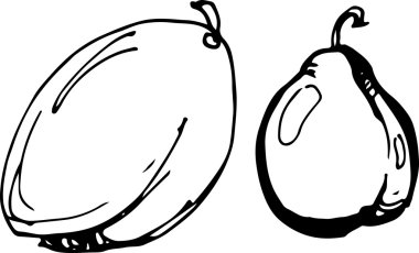 Erik. Vektör çizim.