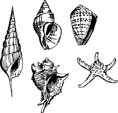 Kabuk küme. Vektör çizim