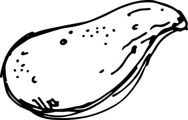Tatlı patates. Vektör çizim