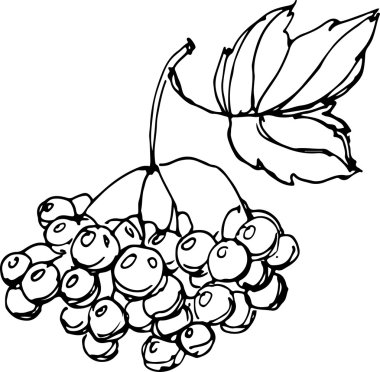 Kartopu. Vektör çizim