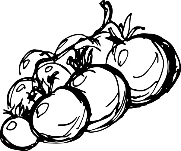 Tomates cereja. Ilustração vetorial — Vetor de Stock