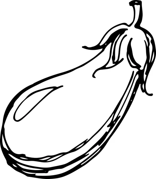 Eggplant. Vector illustration — Stock Vector